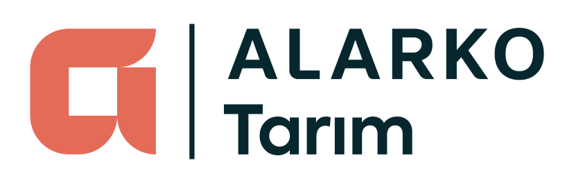 Main Navigation Logo